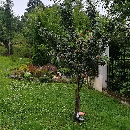 Balkanski Kat בית הארחה *